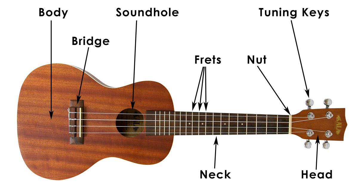 Parts of ukulele
